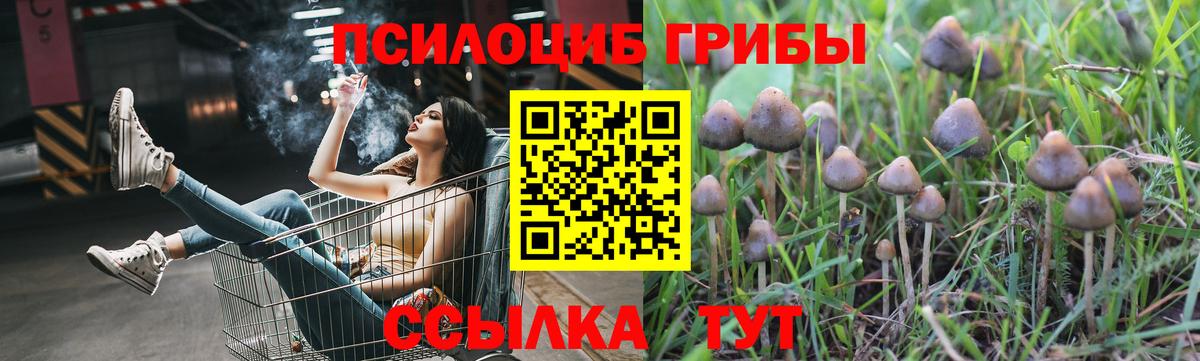 Галлюциногенные грибы прущие грибы Губаха
