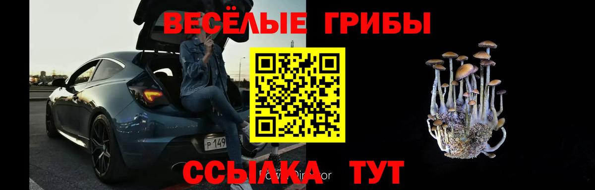 Галлюциногенные грибы Cubensis  Вход с VPN  Галлюциногенные грибы Psilocybe  Губаха 